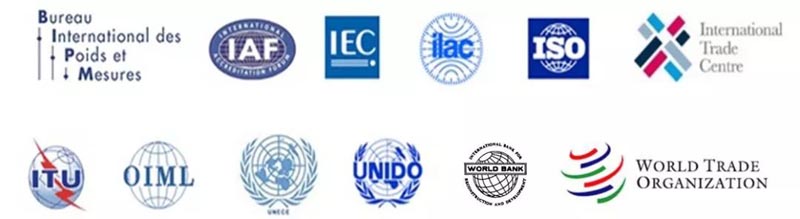 12个国际组织重申通过全球网络促进